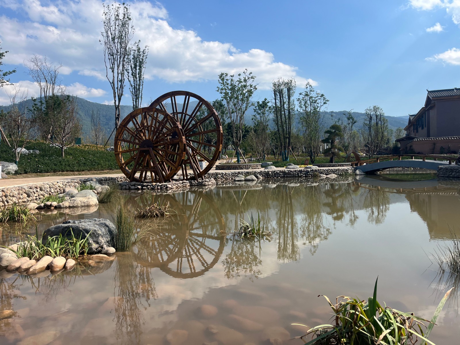 BB贝博艾弗森园林绿化维护